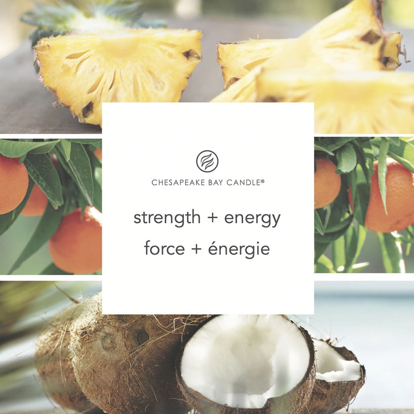 Chesapeake Bay Medium 250gr - Pineapple Coconut (Force & Énergie)