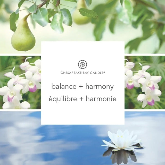 Chesapeake Bay 3 mèches 312gr - Waterlily Pear (Équilibre & Harmonie)
