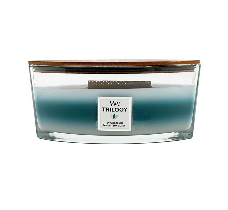 Woodwick Ellipse Trilogy Icy Woodland (Forêts Enneigées) 453gr