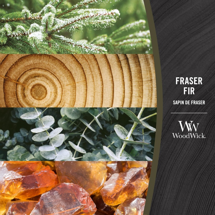 Woodwick Ellipse Frasier Fir (Sapin de Fraser) 453gr