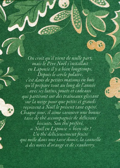 Dammann Frères - Thé vert Noël en Laponie - 25 sachets