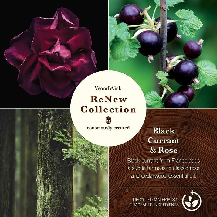 Woodwick Renew Medium Black Currant & Rose 184gr