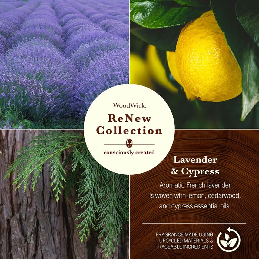 Woodwick Renew Medium Lavender & Cypress 184gr
