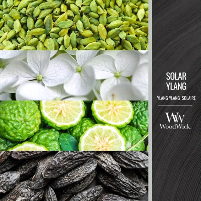 Woodwick Medium Solar Ylang 275gr