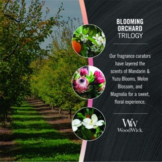 Woodwick Medium Trilogy Blooming Orchard ((Verger en Fleurs) 275gr