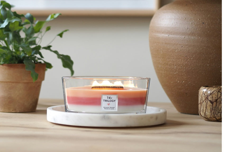 Woodwick Ellipse Trilogy Blooming Orchard 453g