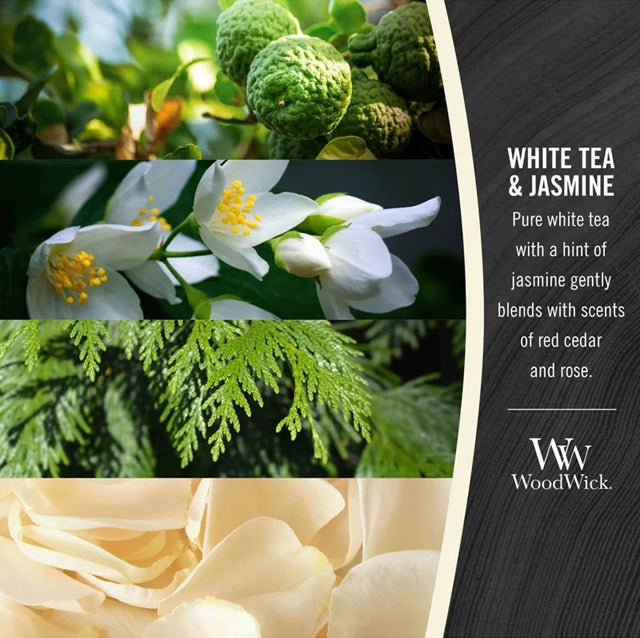 Woodwick Large White Tea & Jasmine (White Tea & Jasmine) 609g