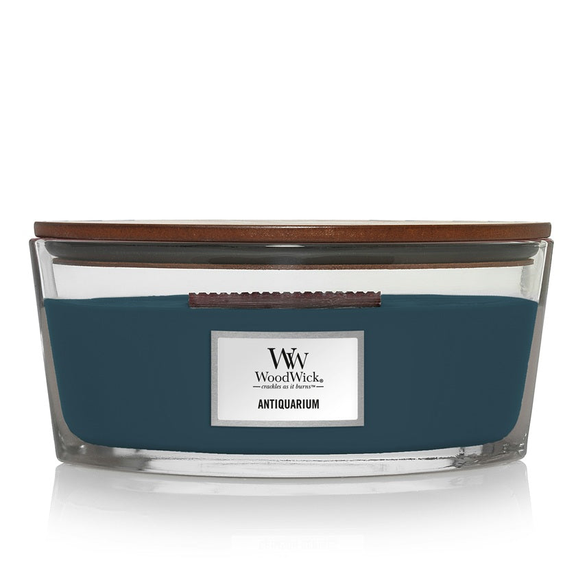 Woodwick Ellipse Antiquarium 453gr