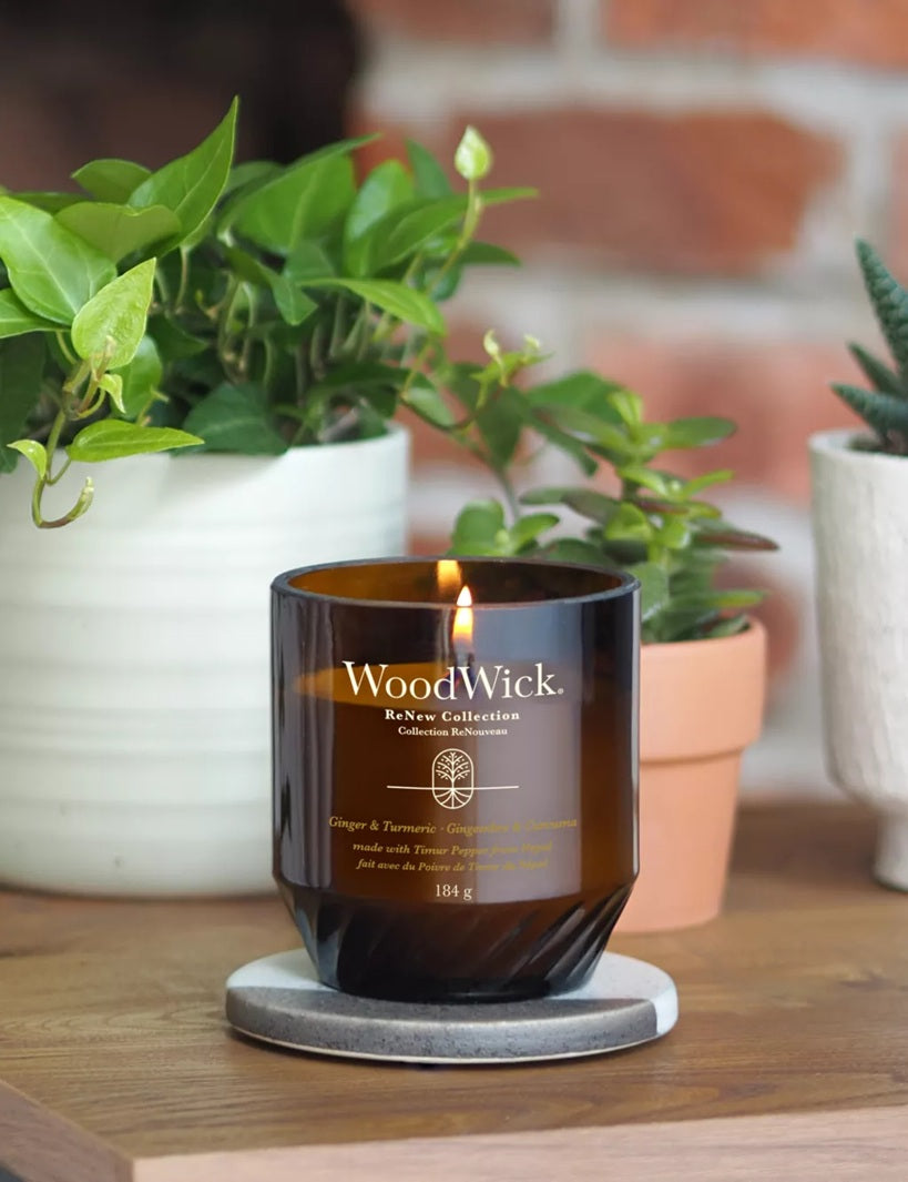 Woodwick Renew Medium Ginger & Turmeric 184gr