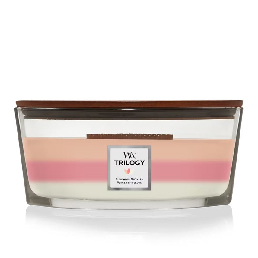 Woodwick Ellipse Trilogy Blooming Orchard (Verger en Fleurs) 453gr