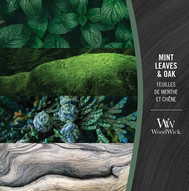 Woodwick Ellipse Mint Leaves & Oak 453g
